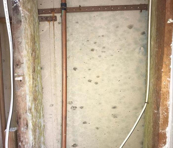 Interior of a wall with black mold spots all over it