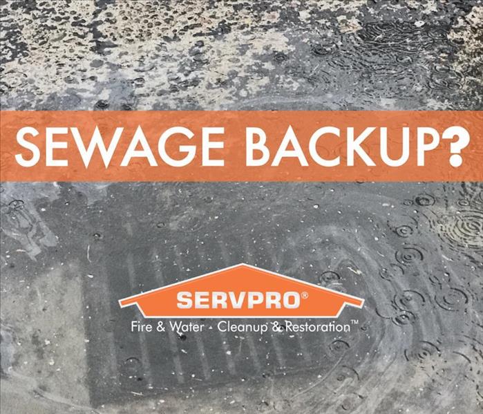 Sewage backup